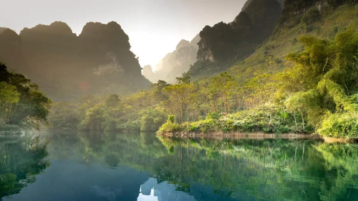 网络化可靠性高端